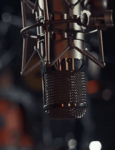 Warm Audio