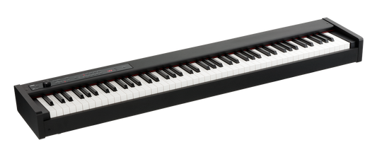 Korg D1 Piano